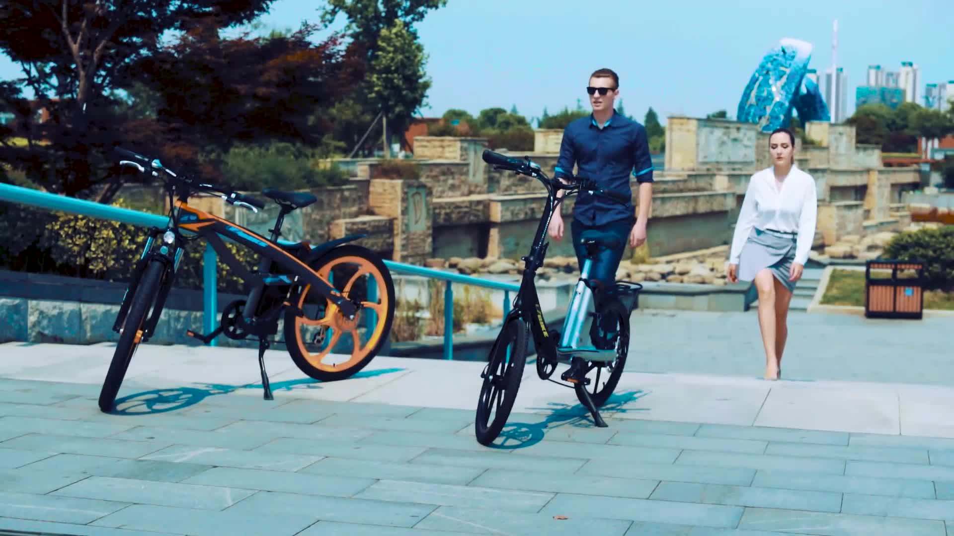 Hidden Battery Lady City Electric Bike With Ce En15194 Buy Electric