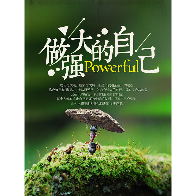 会议室励志风布艺遮挡隔断帘