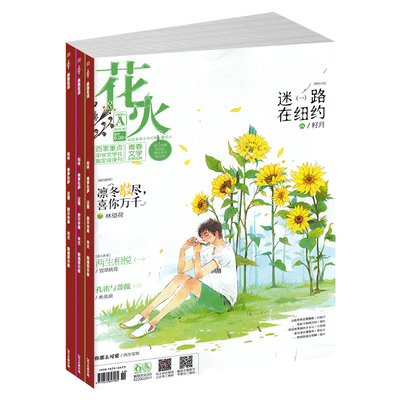 青春文学小说期刊书籍花火a版