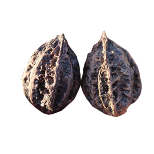 长白山野生山核桃东北山核桃仁可选制作文玩核桃把玩核桃转手核桃