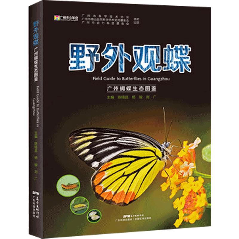 全新现货 野外观蝶 广州蝴蝶生态图鉴 陈锡昌 杨骏 刘广主编 蝴蝶鉴赏书籍蝴蝶品种种类分类蝴蝶名称大全蝴蝶标本亲子观察