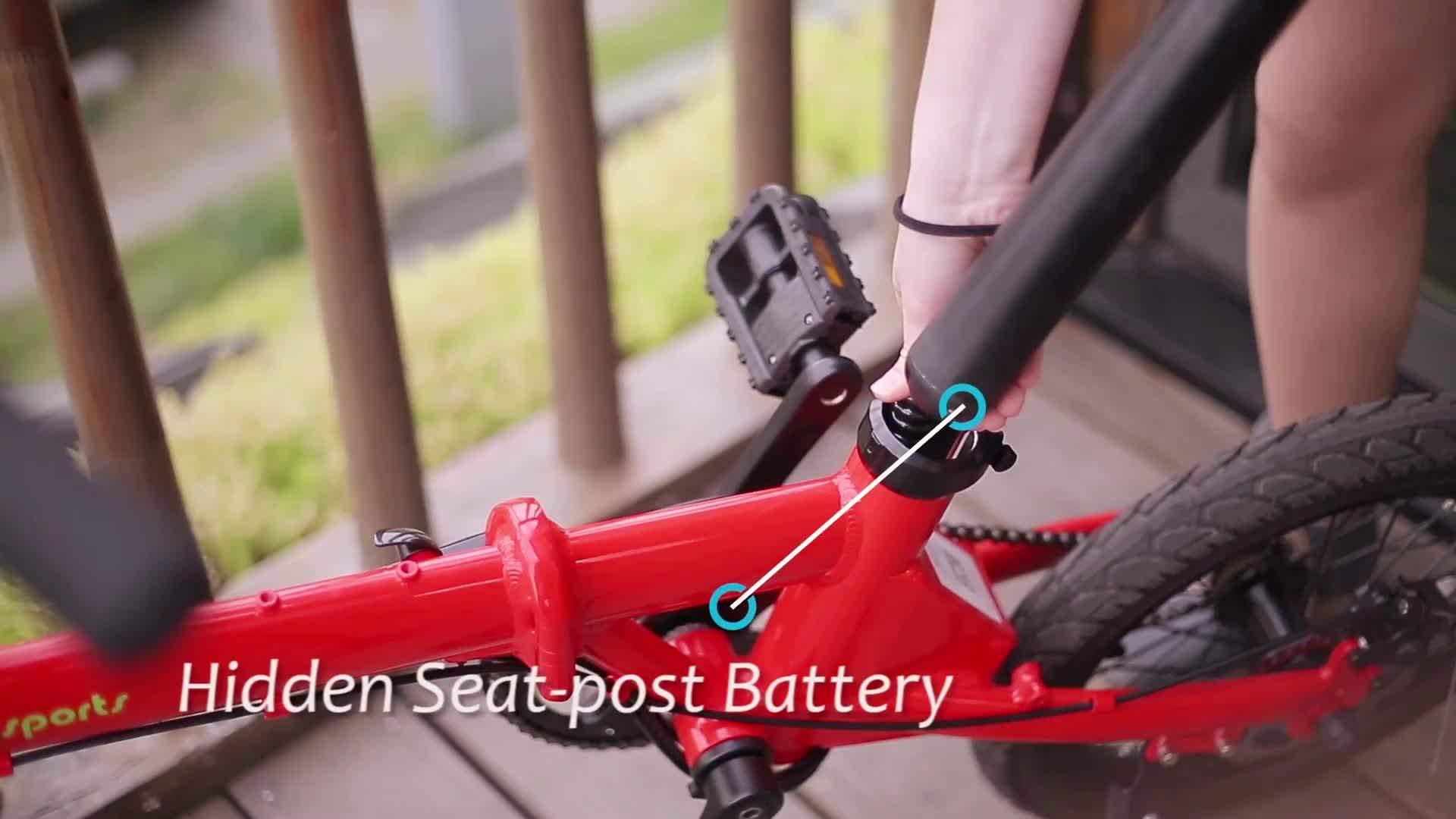 mini folding bike electric