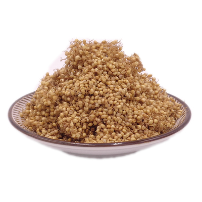 中药材 生谷芽 还有炒谷芽 可磨谷芽粉生麦芽500克