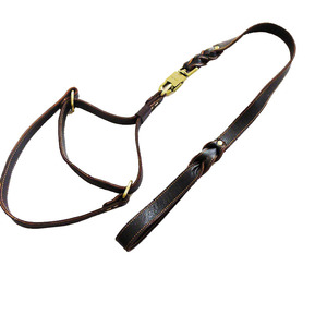 韩国牛皮 狗圈狗绳 防爆冲 狗项圈 牵引绳  金毛德牧狗链项圈包邮