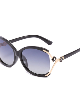 山茶花墨镜女2020新款ins大框