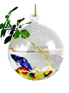 玻璃吊挂小鱼缸水培植物墙壁花瓶