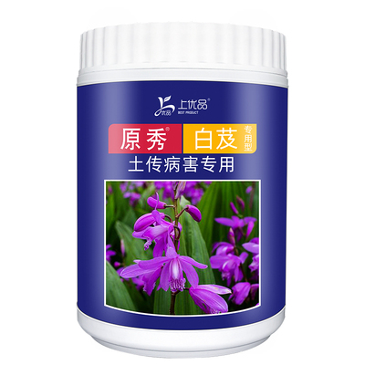 壮根膨果白芨膨果肥上优品膨大