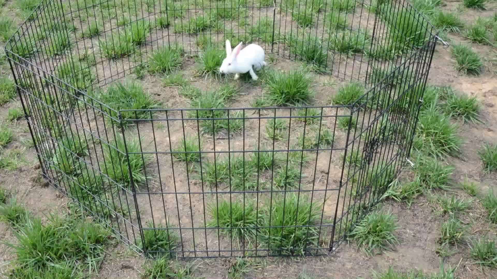 Metal Dog Puppy Rabbit Animal Playpen Run Cage 8 Sided Enclosure