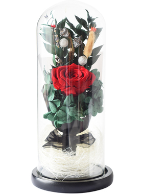 北欧风格创意真玻璃罩浪漫永生花