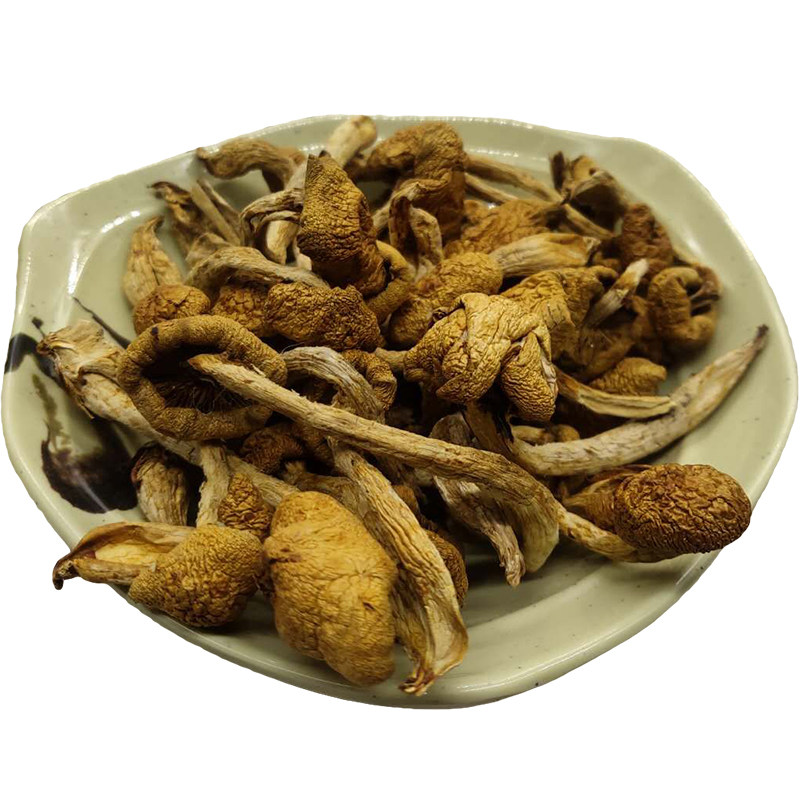 滑子菇东北特产干货50