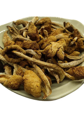 滑子菇东北特产干货50