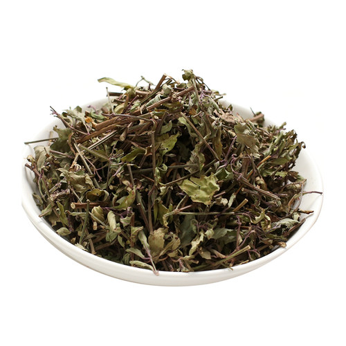 云南西双版纳非野生猫须草 猫须公降酸草 别名化石草买500g送500g