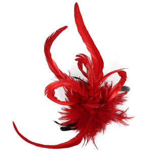 新款帽子女秋冬夸张个性T台走秀酒会派对晚礼帽礼服 红色羽毛头饰