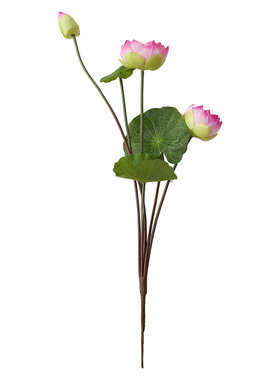 阑珊树仿真荷花室内供佛干花束