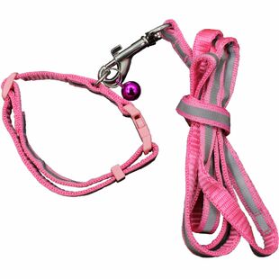 猫咪牵引绳夜光反光项圈胸背带溜狗绳子防挣脱宠物可调节外出猫绳