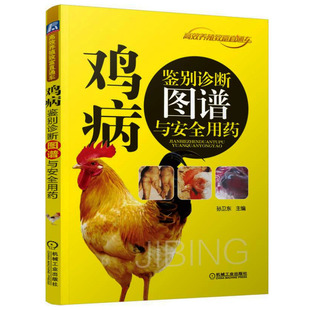 鸡病鉴别诊断图谱与安全用药 技术养鸡大全 鸡蛋 科学饲养 农业科学 鸡病看图识别与防治书籍鸡病诊治【凤凰新华书店旗舰店】