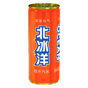 北冰洋桔汁味汽水碳酸饮料北冰洋橘汁330ml*24听装老北京汽水饮品