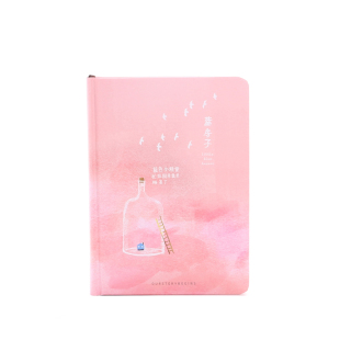 笔记本子文艺精致小清新手账本创意彩页插画日记本好看的本子礼物