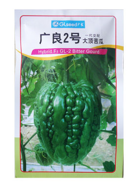 菜场专用正宗广东大顶苦瓜种子
