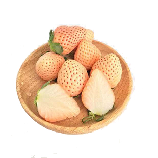 天使白色真红美玲黑草莓春节过年送礼水果女朋友礼物领导客户礼品