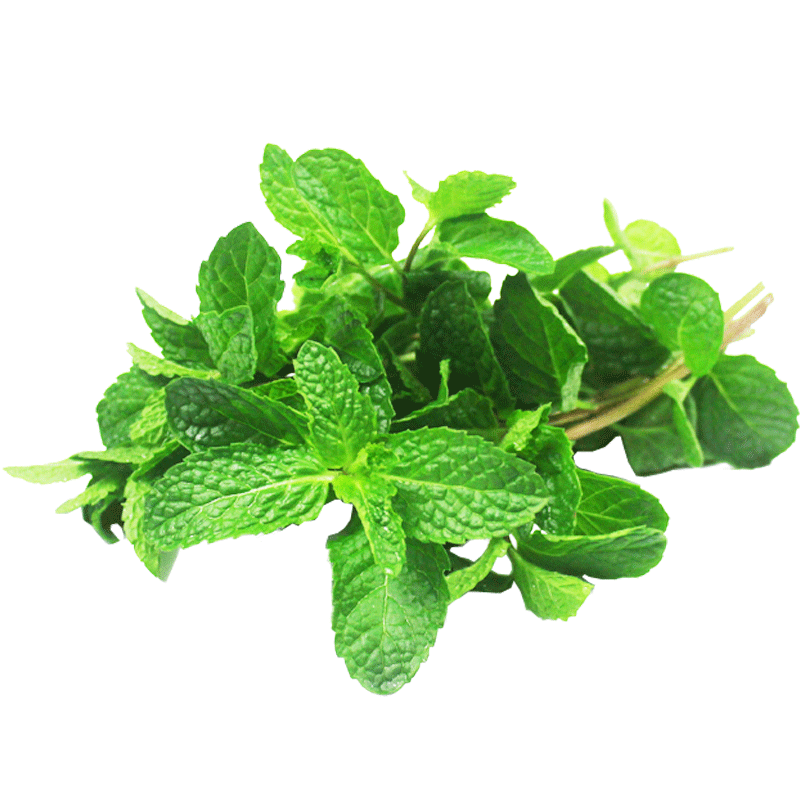 薄荷叶新鲜 蔬菜 清凉薄荷叶 调酒泡茶香料调料西餐250g