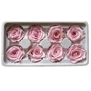 优质永生花玫瑰4-5cm整盒8朵装花头 保鲜花diy材料包车挂玻璃罩