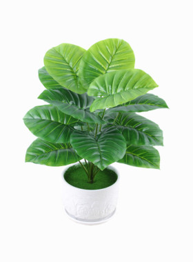 客厅装饰塑料仿真植物假绿萝红掌