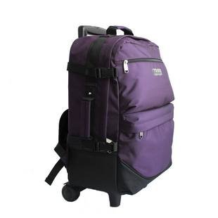 20寸拉杆包双肩背包旅行包男女学生书包带轮子超轻商务出差行李箱