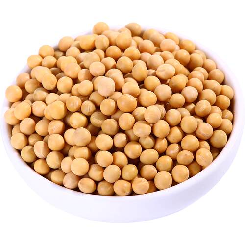 2025东北非转基因黄豆400g农家自种大豆打豆浆生豆芽专用小粒黄豆