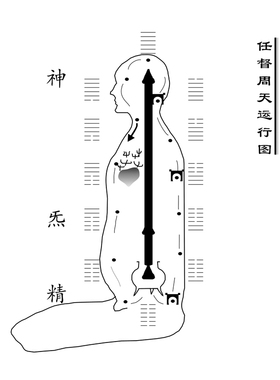 中医人体经络养生理疗壁画
