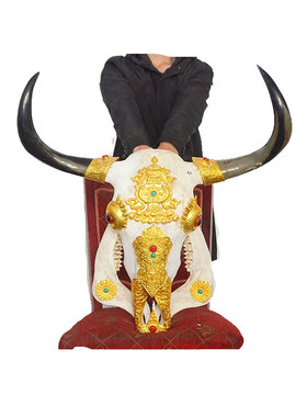 牛羊头骨铜片镶金工艺品