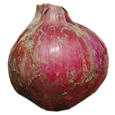 红皮紫皮水果型洋葱脆甜新鲜圆葱