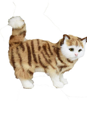 猫咪动物模型other毛绒布料