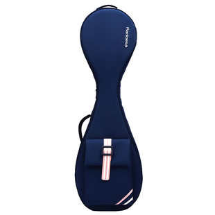 Ranloesa琵琶琴包双肩便携成人软包可双肩背加厚琵琶包袋琵琶袋子