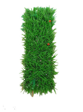 仿真塑料绿植草坪花草网吧平台