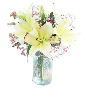 云南鲜花玫瑰搭配花束一周一花包月鲜花家庭用花办公室鲜花