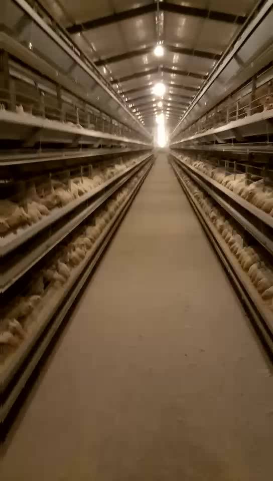 Poultry Farm Equipment Chicken Cage For Sale In Sri Lanka Buy Poultry