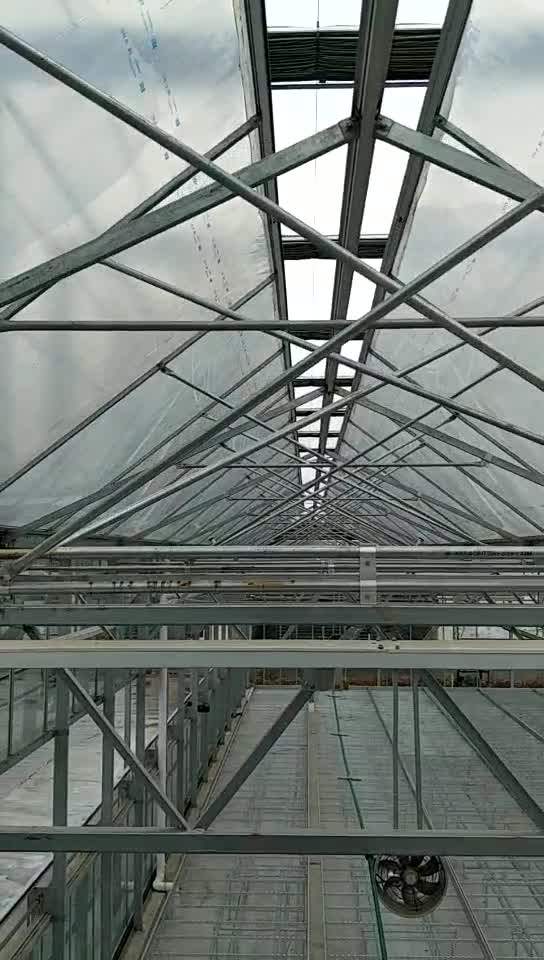 Double Layer Plastic Greenhouse,Polycarbonate Board,Polycarbonate Sheet