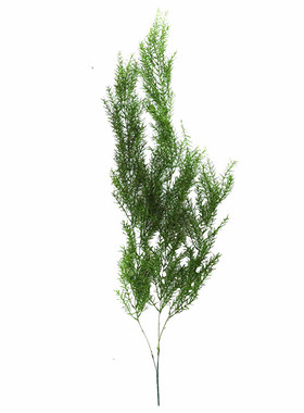 软胶绿色吊顶布景壁挂植物叶子