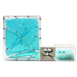 繁殖蚁后专用透明活物蚂蚁工坊别墅宫殿 蚂蚁城堡蚂蚁庄园 送蚁后