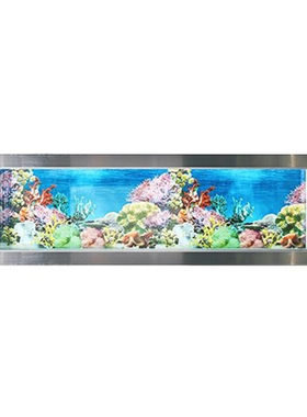 挂壁式生态墙上水族箱厂销