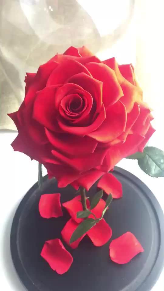 Wholesale Real Eternal Rose Preserved Rose In Glass Dome Buy Rose In