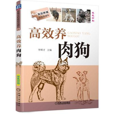 正版 高效养肉狗 双色版 李顺才 肉狗高效养殖技术 实用肉狗养殖技术书籍 饲养教程技术 肉狗场管理 养肉狗的书 养狗技术书籍