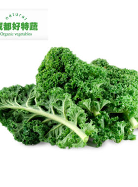 羽衣甘蓝kale500克西餐食材蔬菜