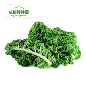 羽衣甘蓝Kale 500克绿叶甘蓝菜沙拉蔬菜农场直供西餐食材顺丰包邮