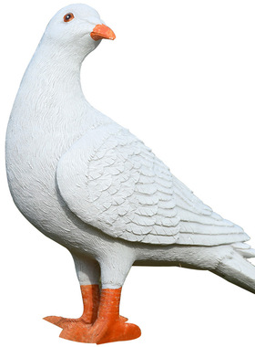 园林景观鸽子小区别墅仿真动物