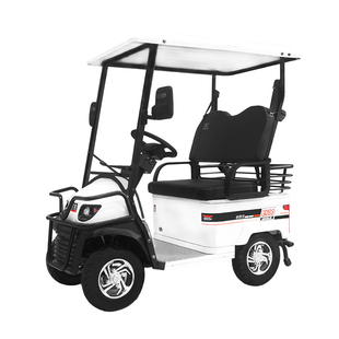 小巴士电动老年代步老人带棚景区旅游观光车e600四轮电动车民宿