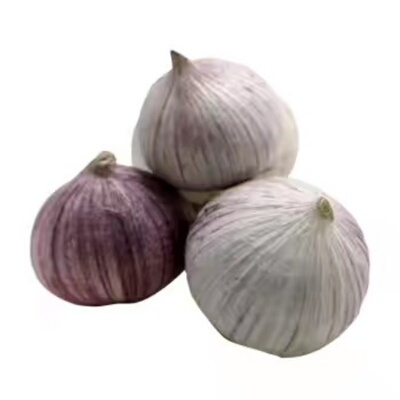 独头蒜新鲜农家味道包邮独头大蒜