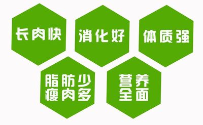 牛饲料育肥肉牛增重长的快育肥素预混料牛饲料添加剂英美尔