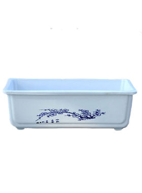 水仙铜钱草水培古典树脂